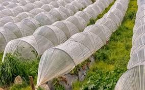 تصویر 3 از نایلون عریض گلخانه ای مقاوم در برابر نور خورشید و شرایط جوی